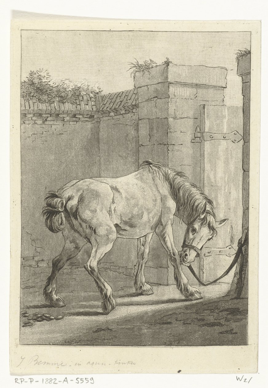 Bir direğe bağlı bir at by Joannes Bemme