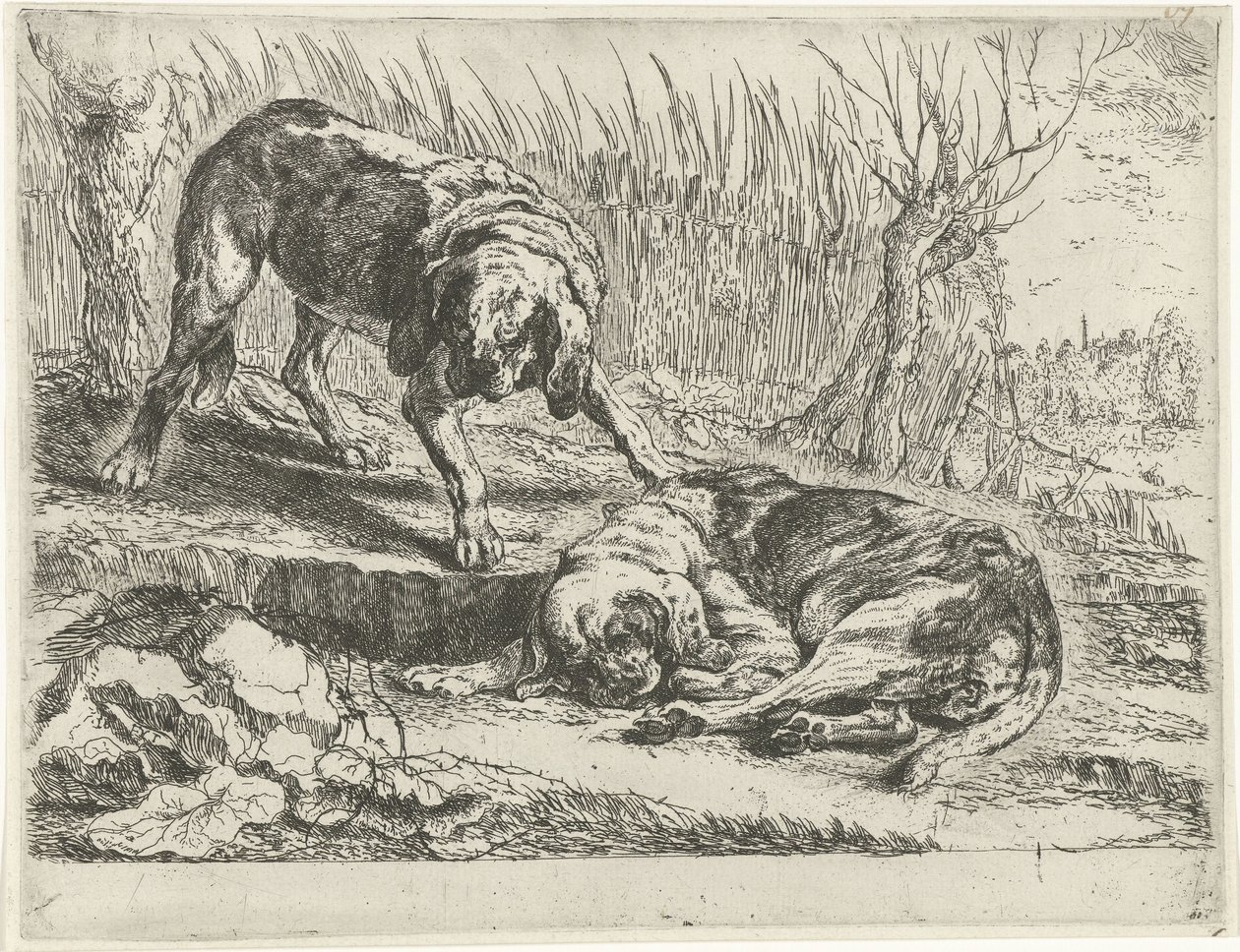 İki köpek Köpekler (dizi adı) by Joannes Fijt