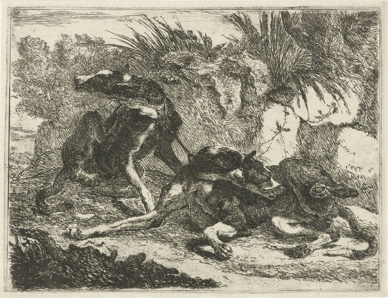 İki köpek Köpekler (dizi adı) by Joannes Fijt