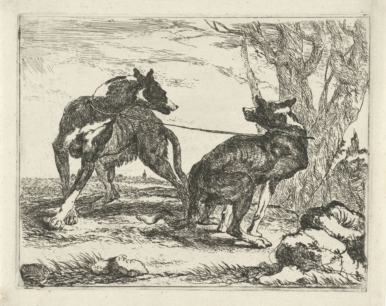 İki köpek Köpekler (dizi başlığı) by Joannes Fijt