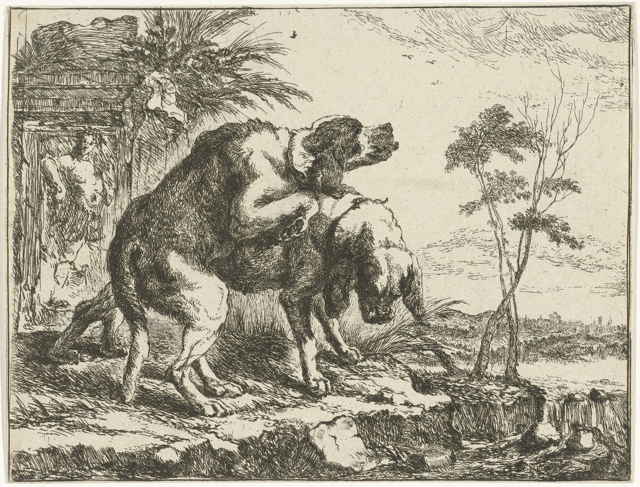 iki çiftleşen köpek Köpekler (dizi adı) by Joannes Fijt