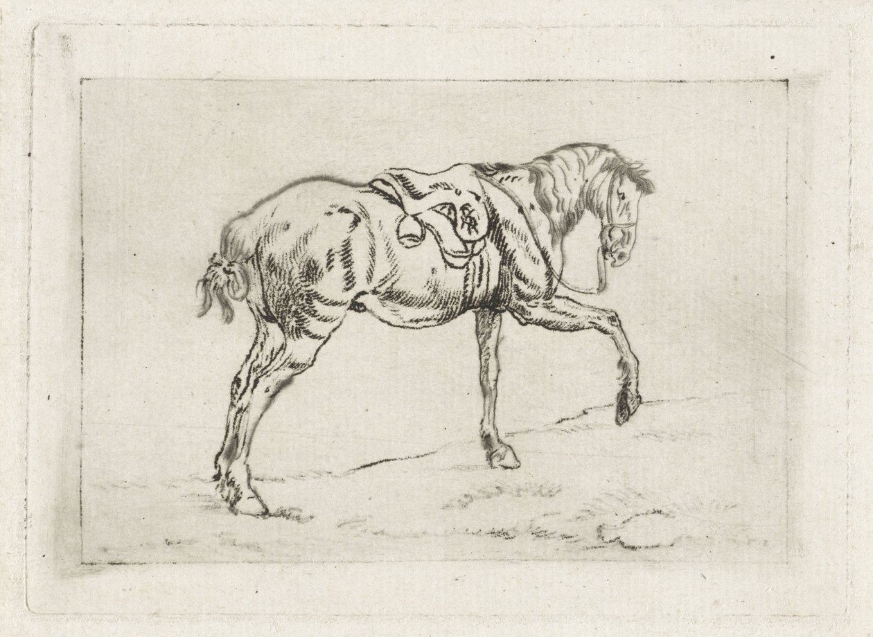 eyerli at by Joannes Pieter Visser Bender