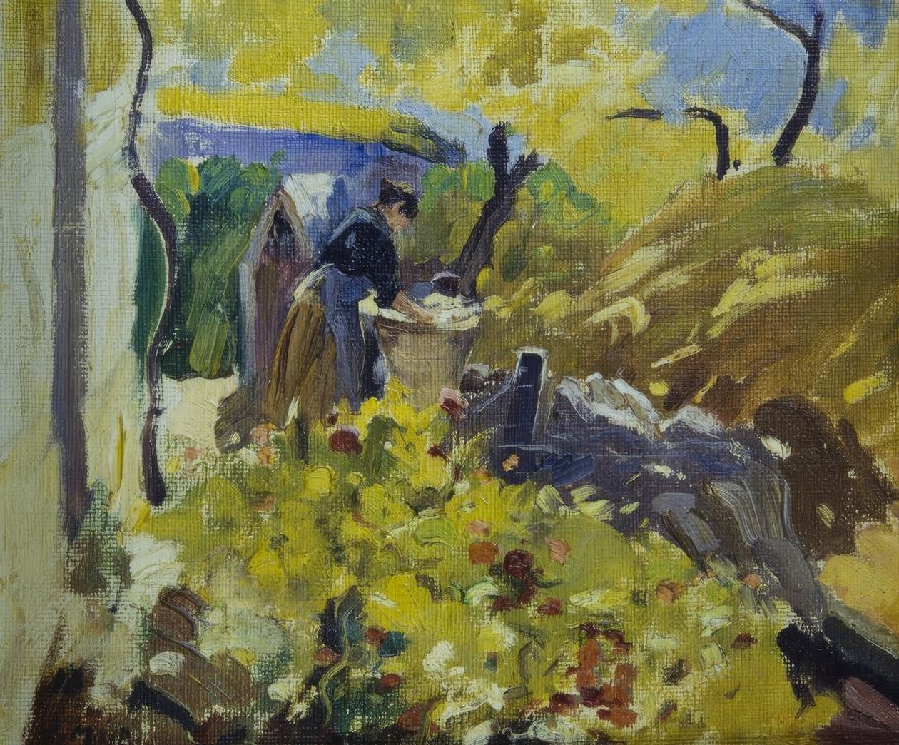 çamaşırhaneler by Joaquim Mir i Trinxet