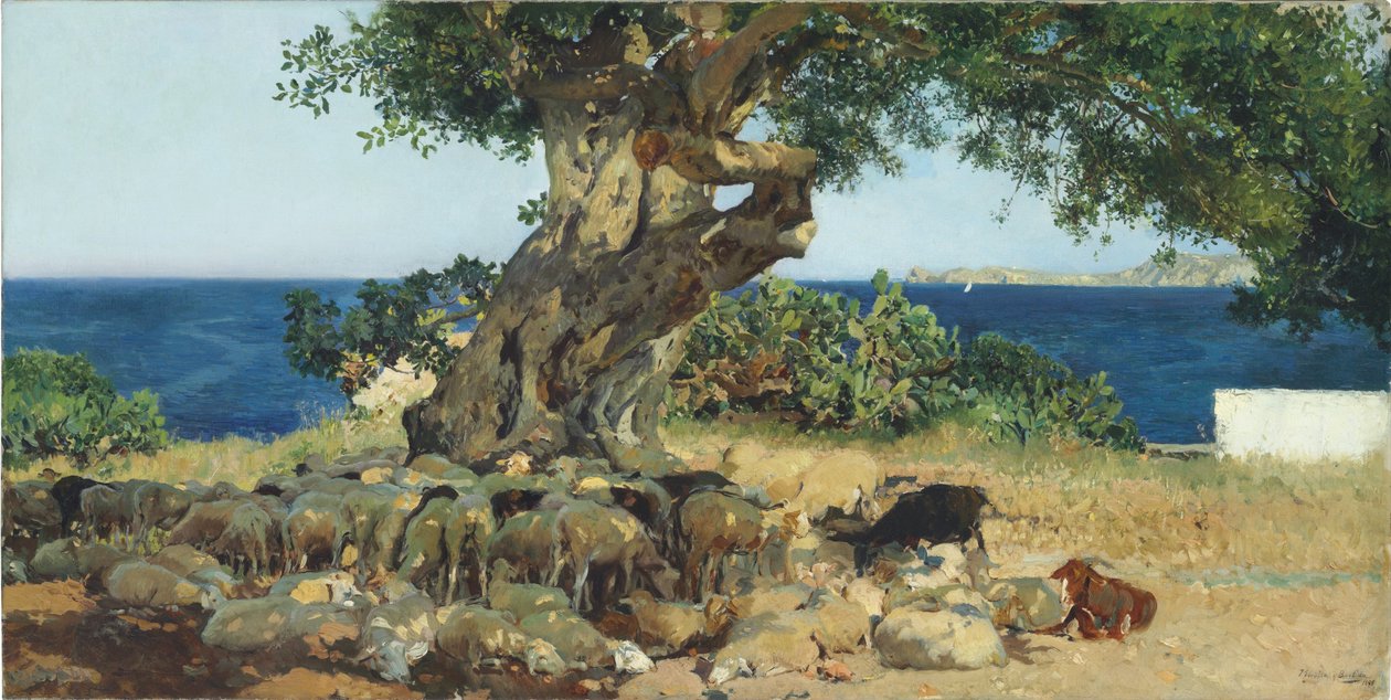 Harnup ağacı by Joaquín Sorolla