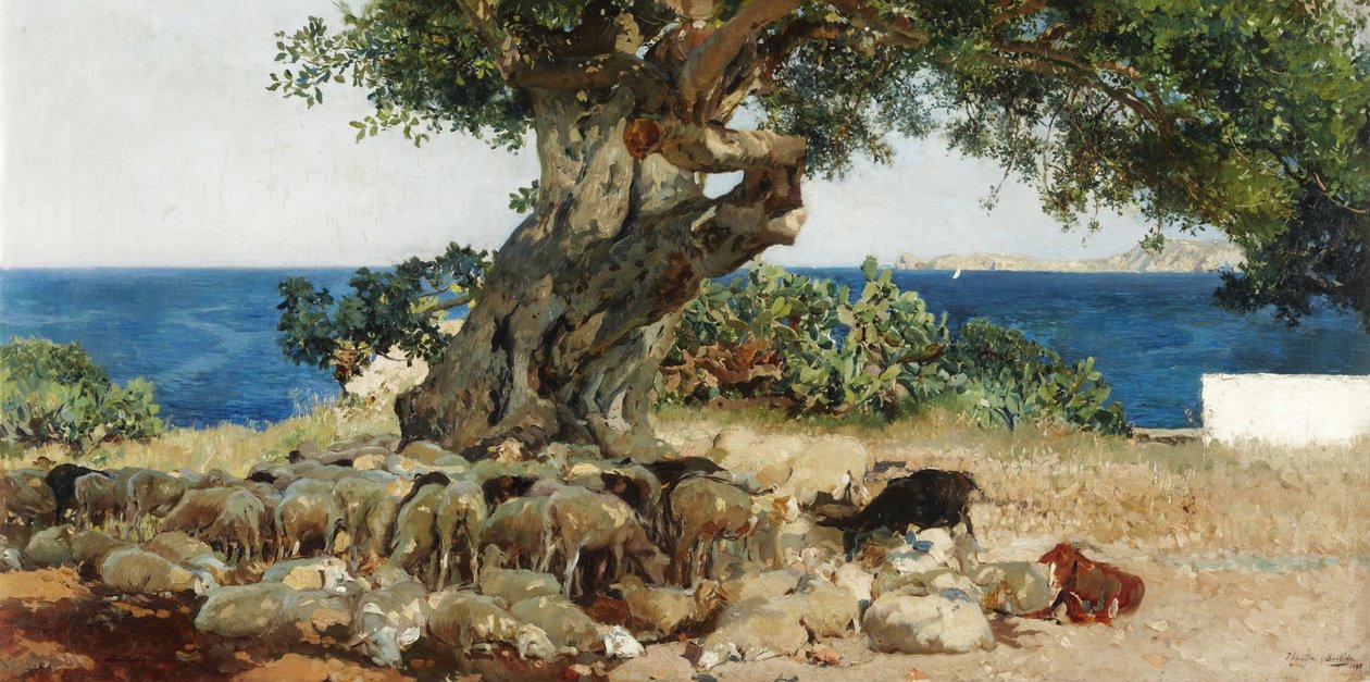 Algarrobo by Joaquín Sorolla