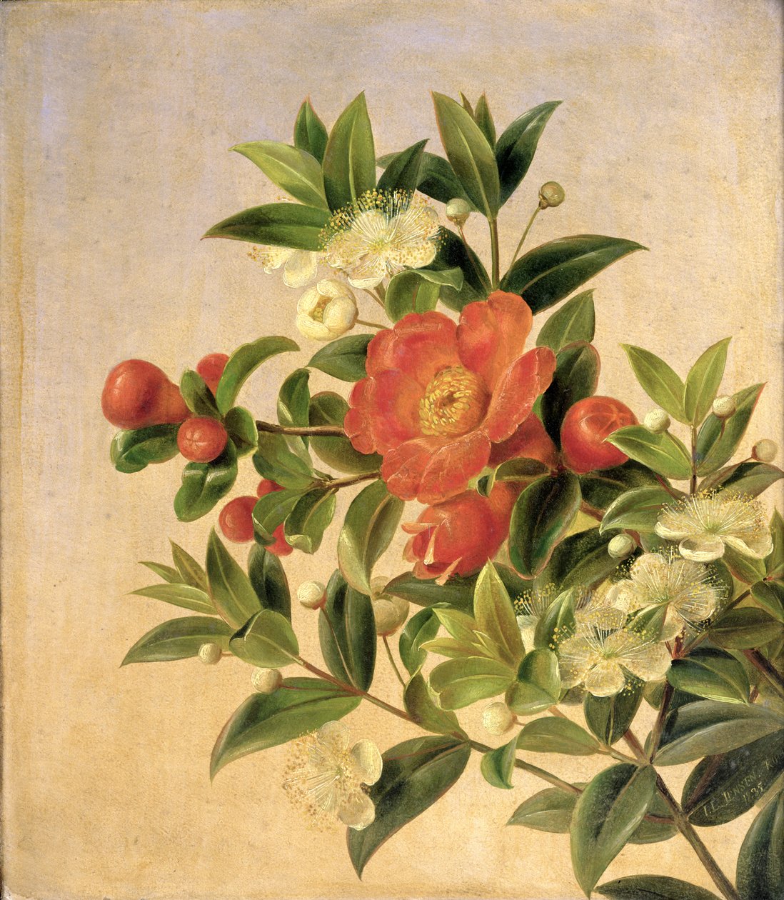 Çiçekler, 1835 by Johan Laurents Jensen