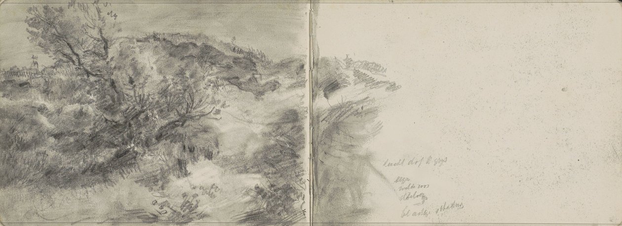kumul manzarası by Johan Antonie de Jonge