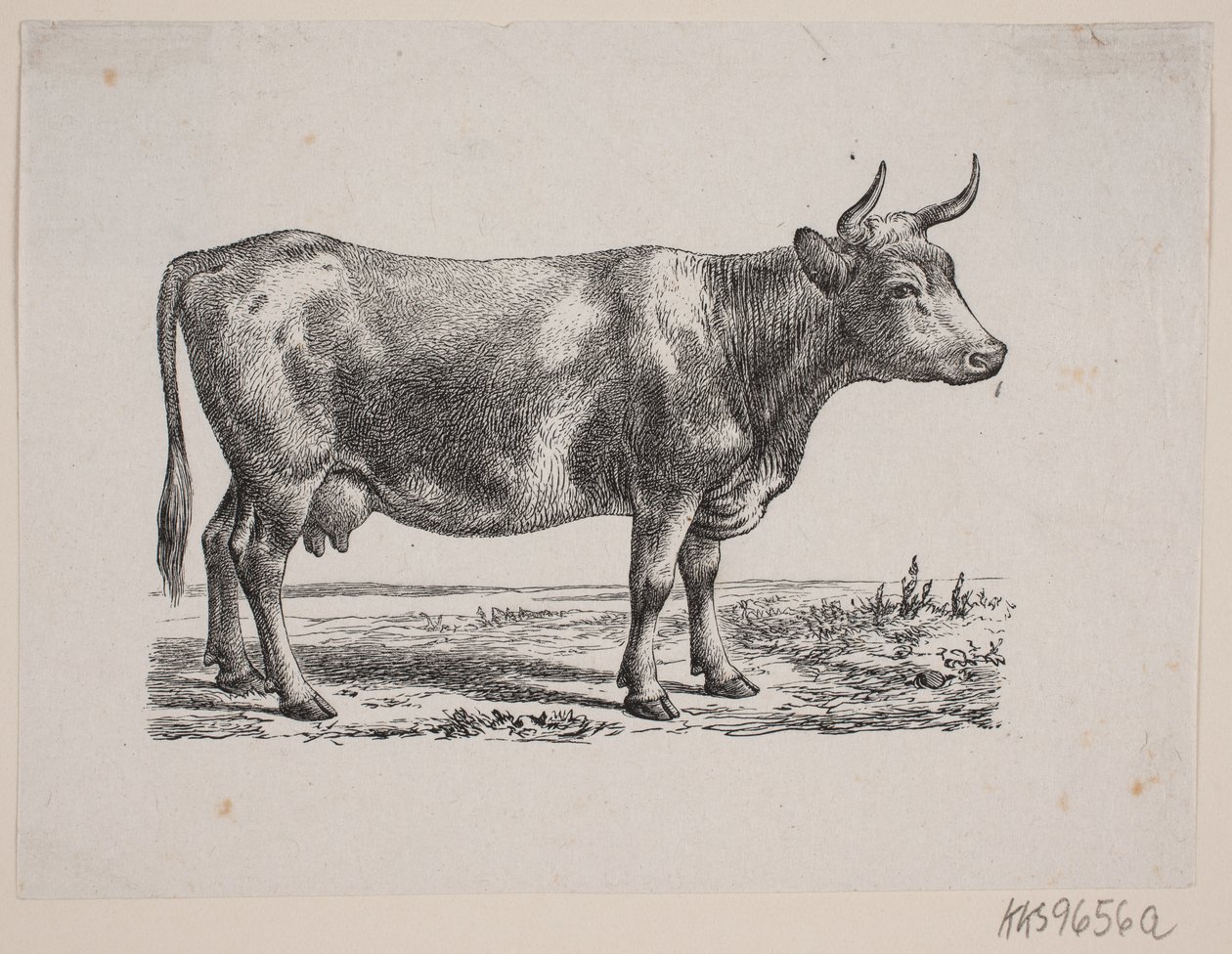 yen tozu by Johan Frederik Rosenstand