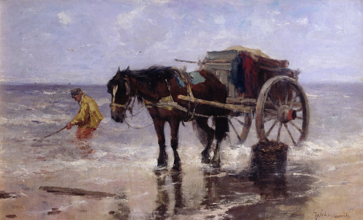 İstiridye Toplayıcı (tuval üzerine yağlı boya) by Johan Scherrewitz