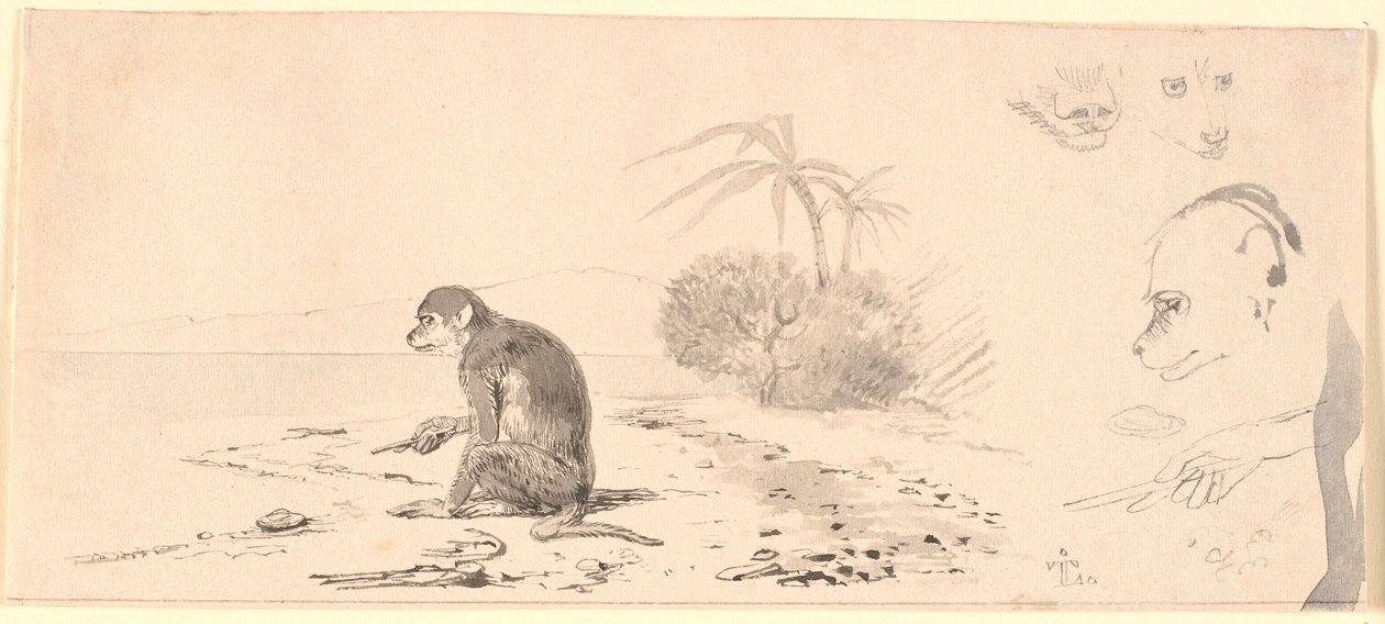 Abekatten. T.h. maymun kafaları çalışmaları m.m. by Johan Thomas Lundbye