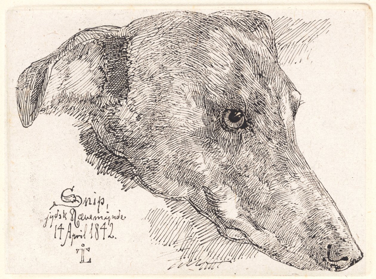 Köpek Kafası, Keskin Nişancı by Johan Thomas Lundbye