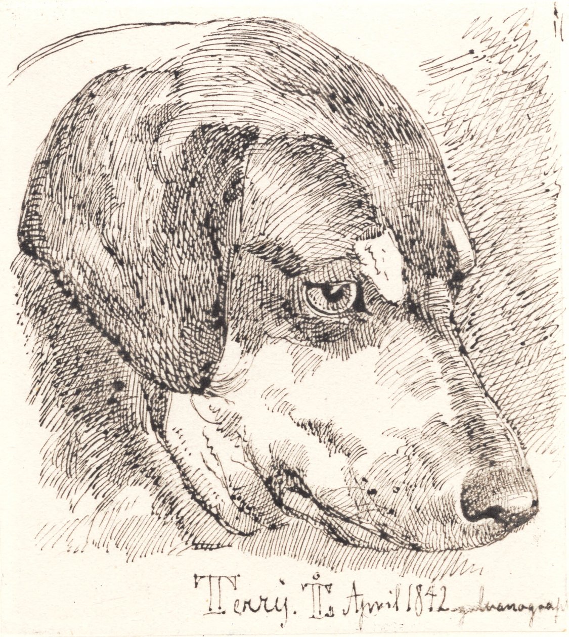 Hundehoved, Terry by Johan Thomas Lundbye