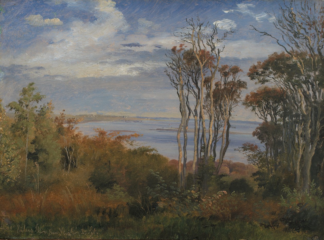 Kolas Wood. hava yüksek by Johan Thomas Lundbye
