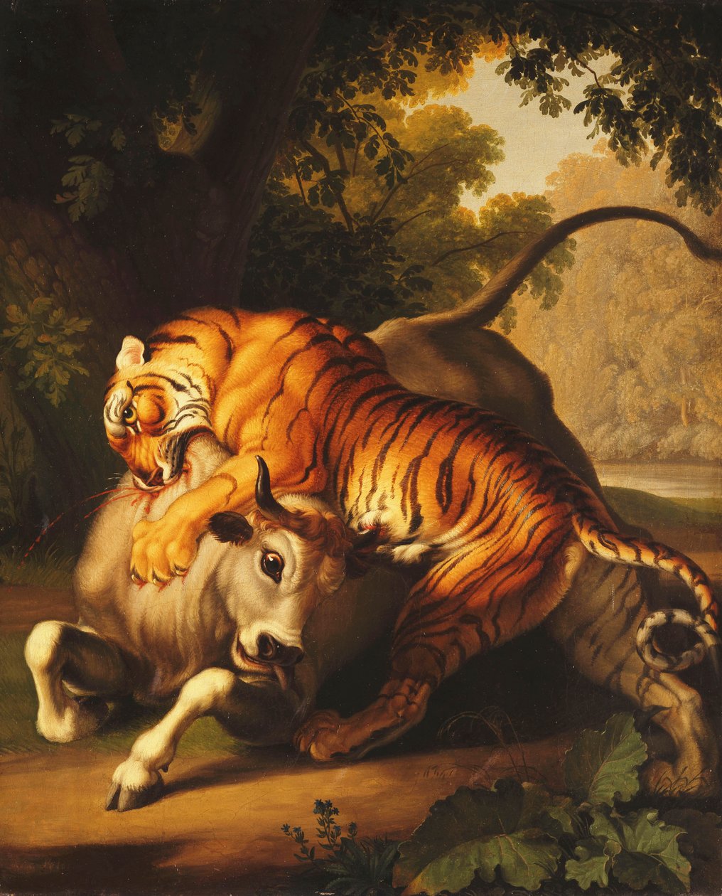 Boğaya Saldıran Kaplan, 1785 by Johan Wenzel Peter