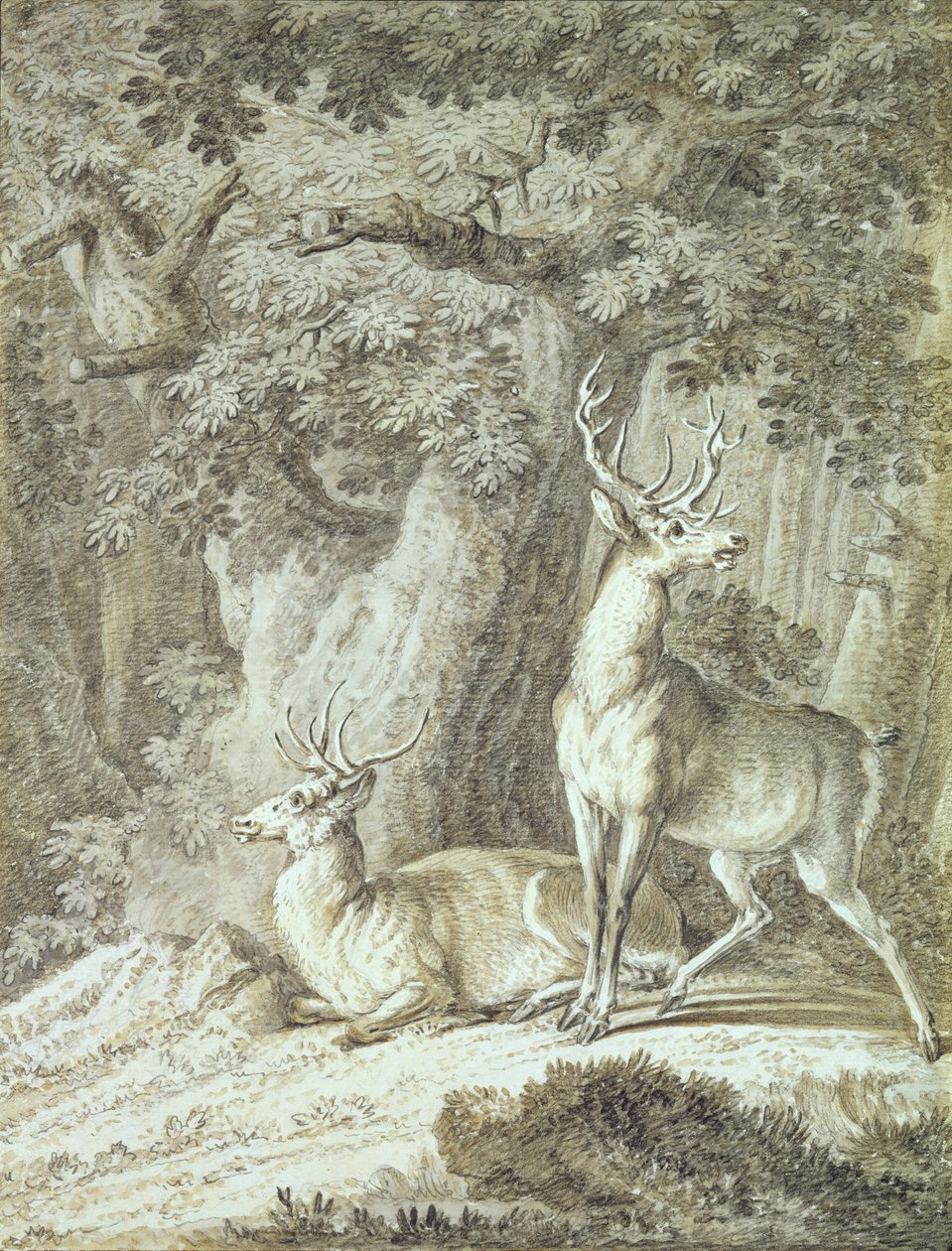 ಎರಡು ಸಾರಂಗಗಳು (ಕಾಗದದ ಮೇಲೆ ಬಳಪ) ಟರ್ಕಿ by Johann Elias Ridinger or Riedinger