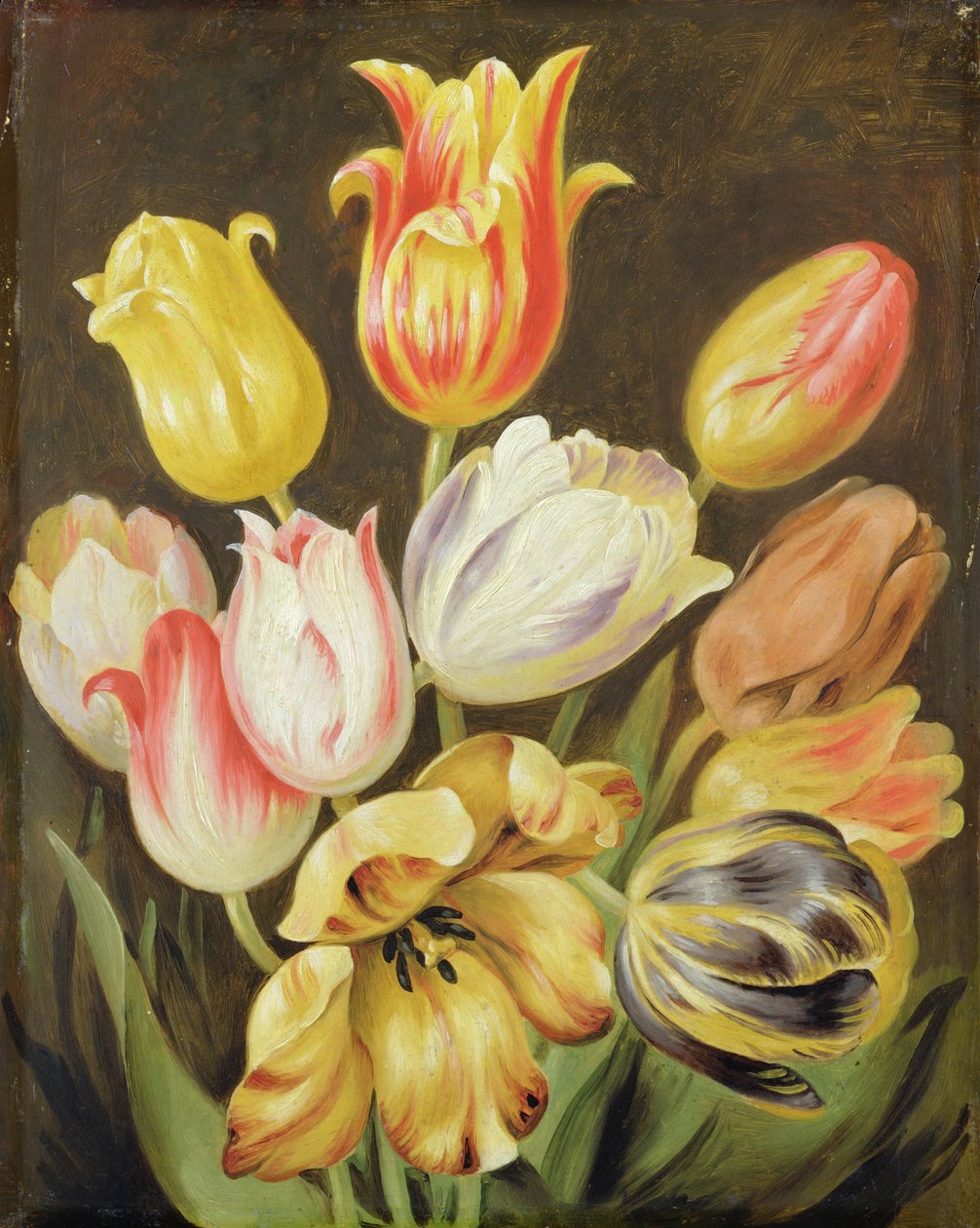 Çiçek Çalışması by Johann Friedrich August Tischbein