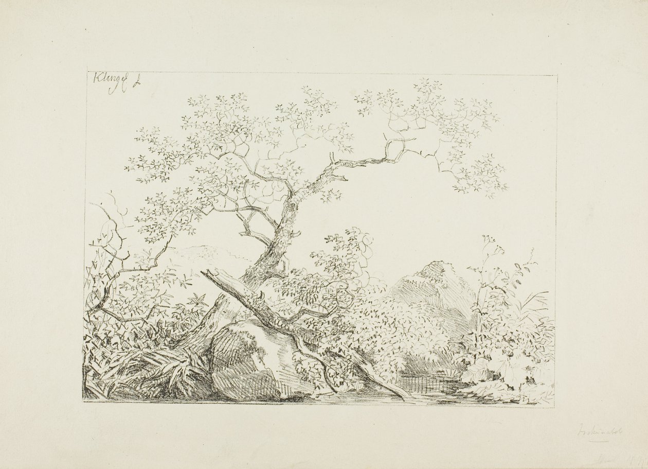 Suyun Yanındaki Ağaçlar ve Kayalar by Johann Christian Klengel