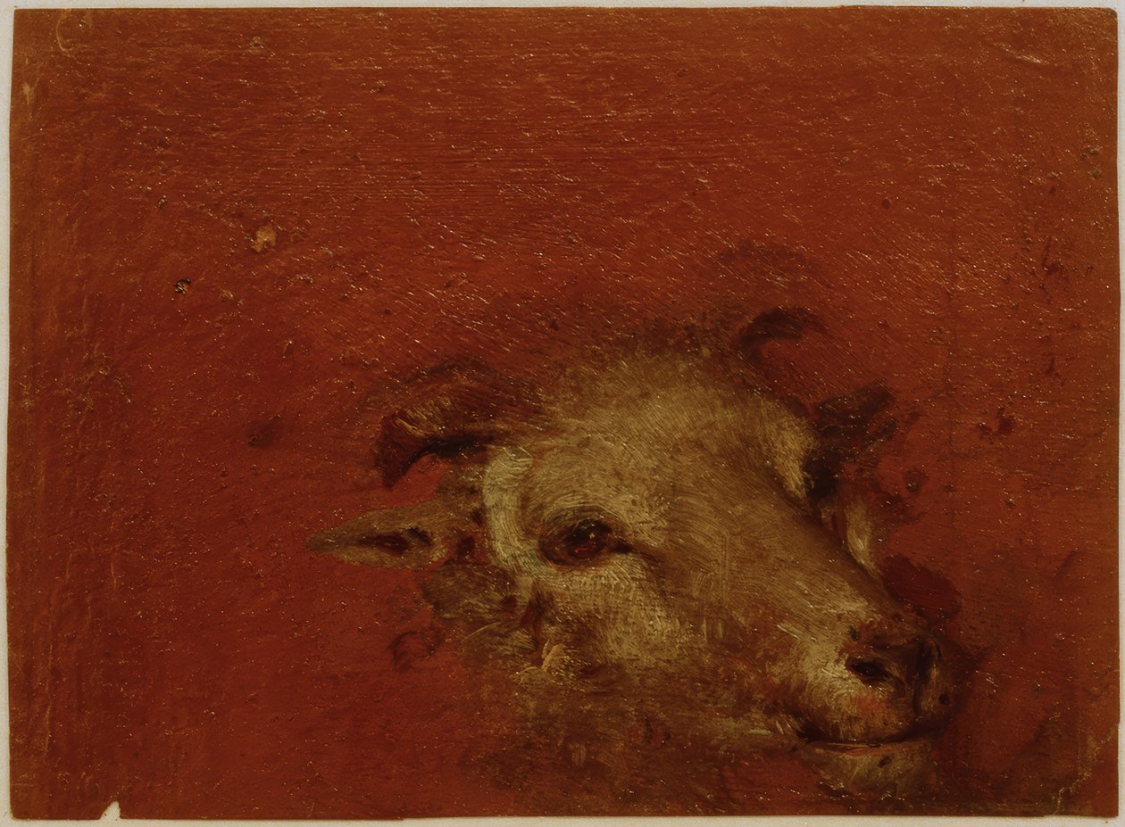 Keçi kafası by Johann Conrad Seekatz