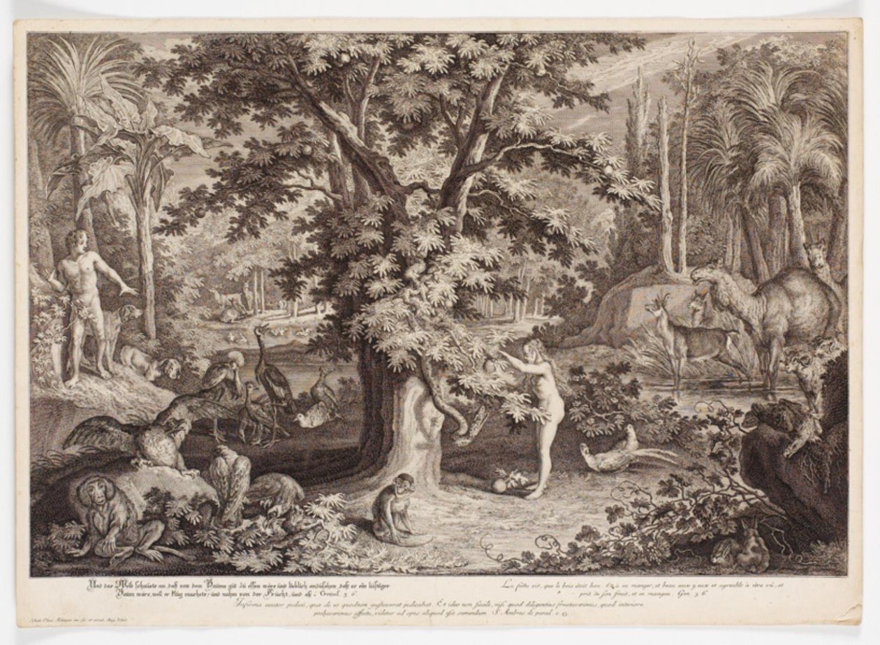 Eva bilgi ağacındaki elmayı seçer by Johann Elias Ridinger