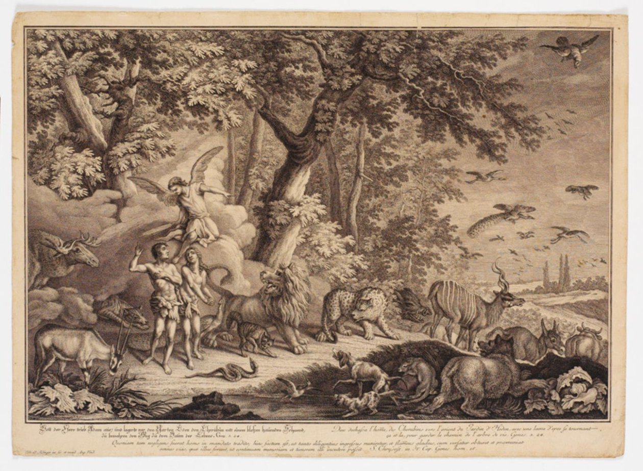 Cennetten kovulma by Johann Elias Ridinger