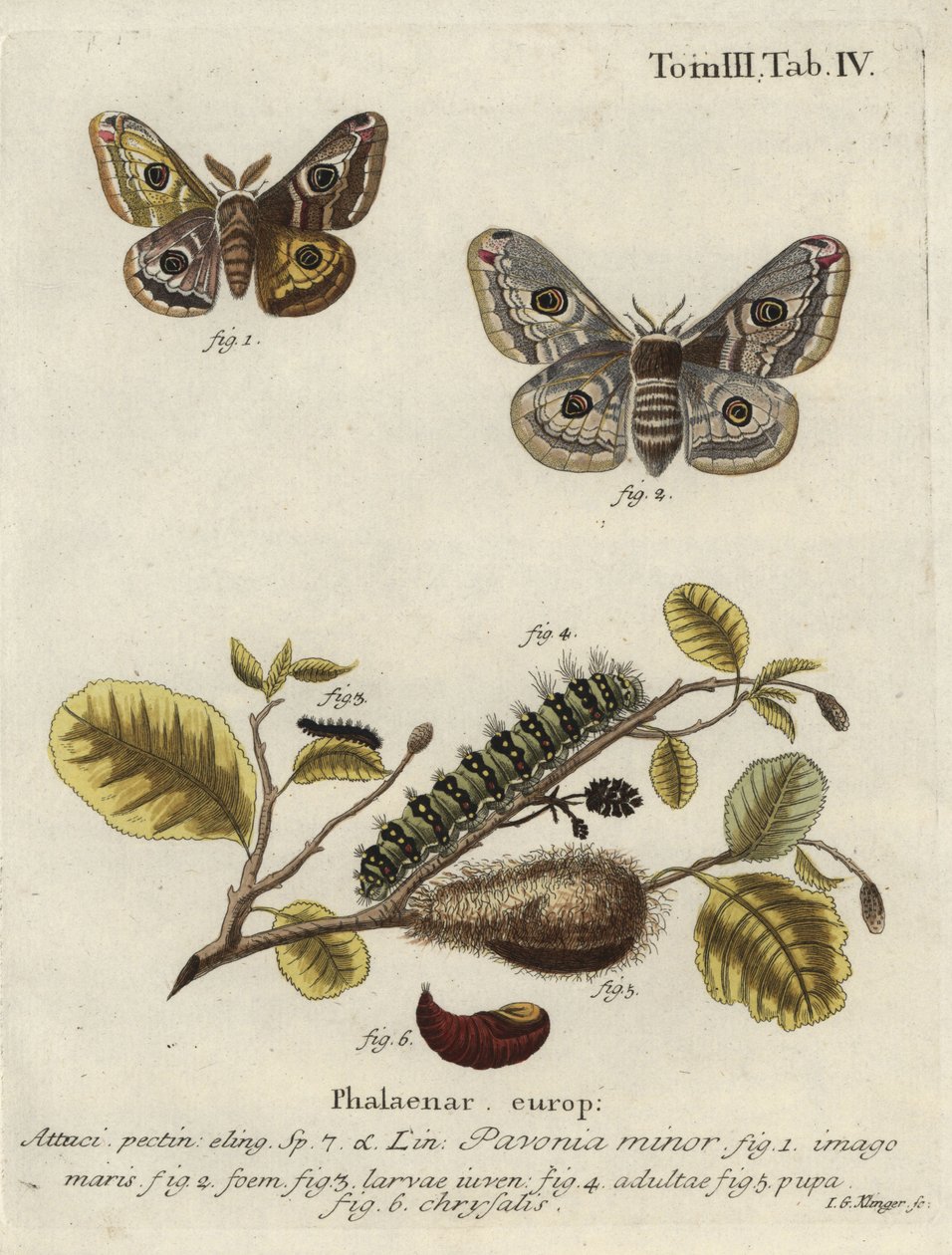 Bilinmeyen resim by Johann Georg Klinger
