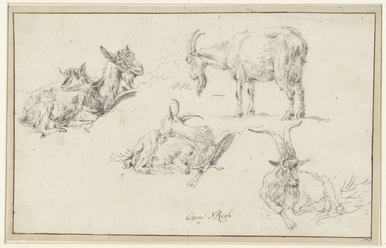 Bir keçinin çalışmaları by Johann Heinrich Roos (possibly)
