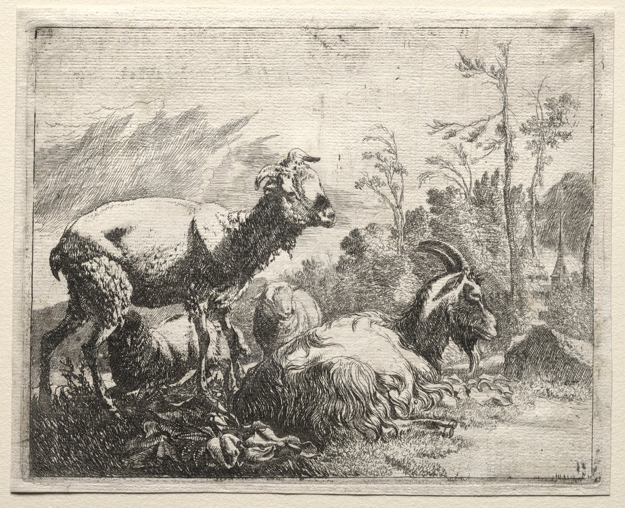 Keçiler, 1665. by Johann Heinrich Roos