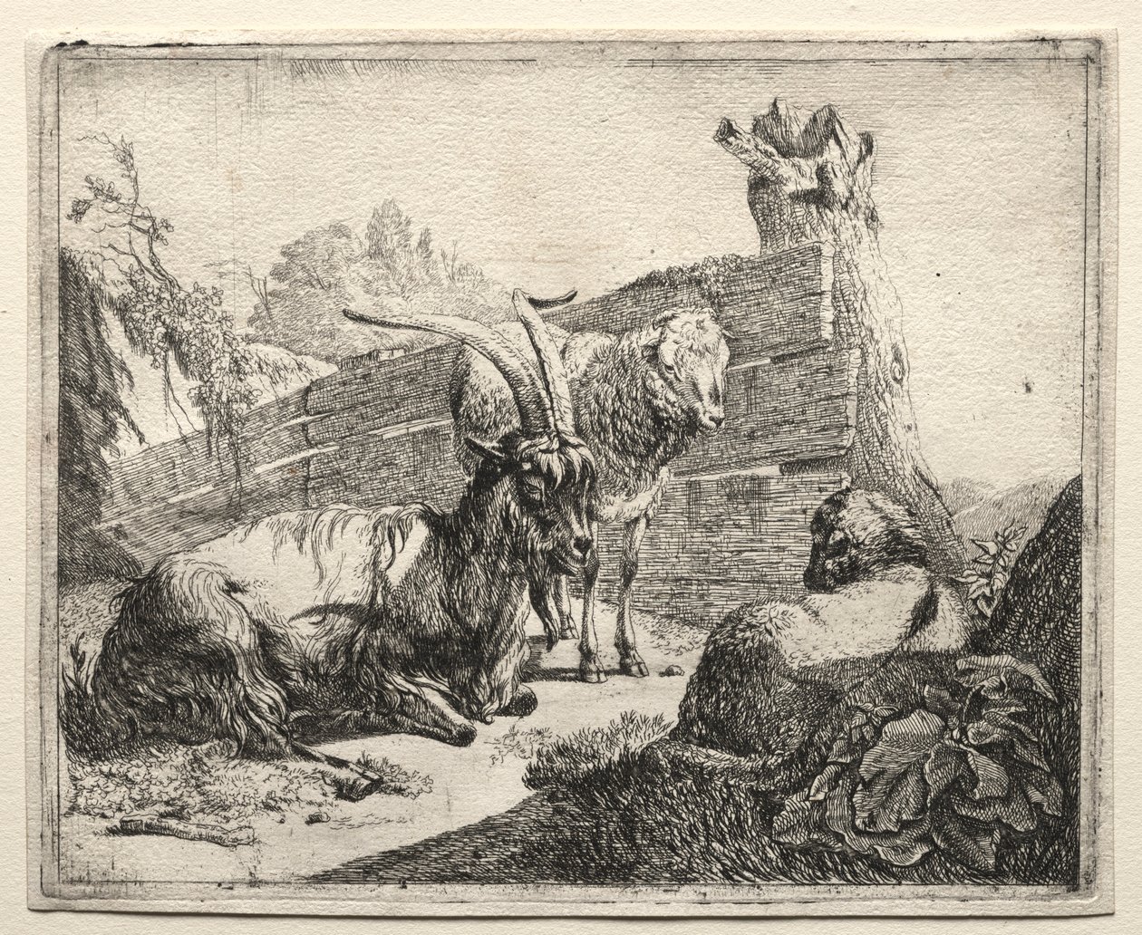 Çit, 1665. by Johann Heinrich Roos