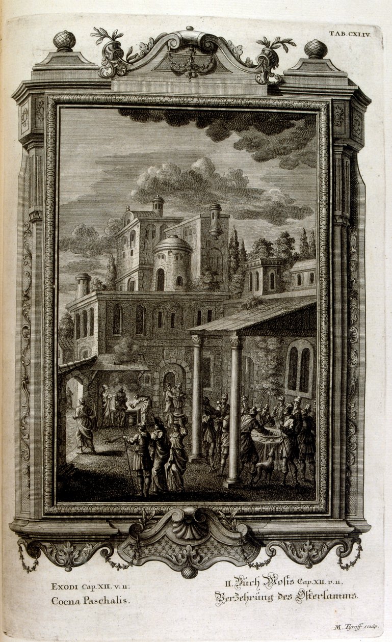 illüstrasyon by Johann Jakob Scheuchzer