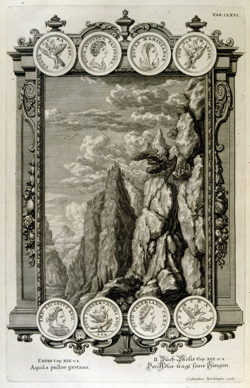 Zeus kartal olarak sembolize edildi by Johann Jakob Scheuchzer