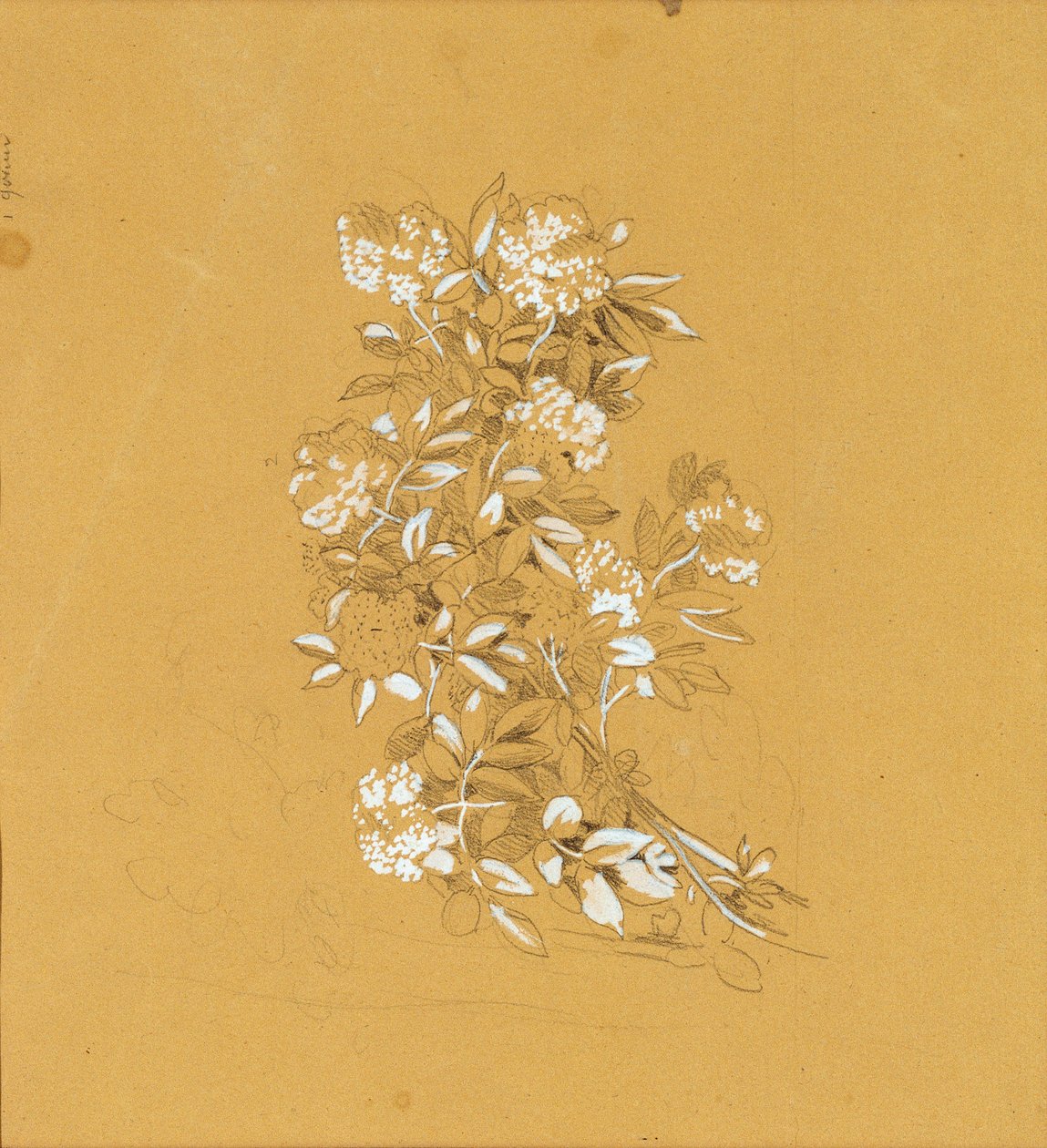 Blumenbuket by Johann Peter Krafft