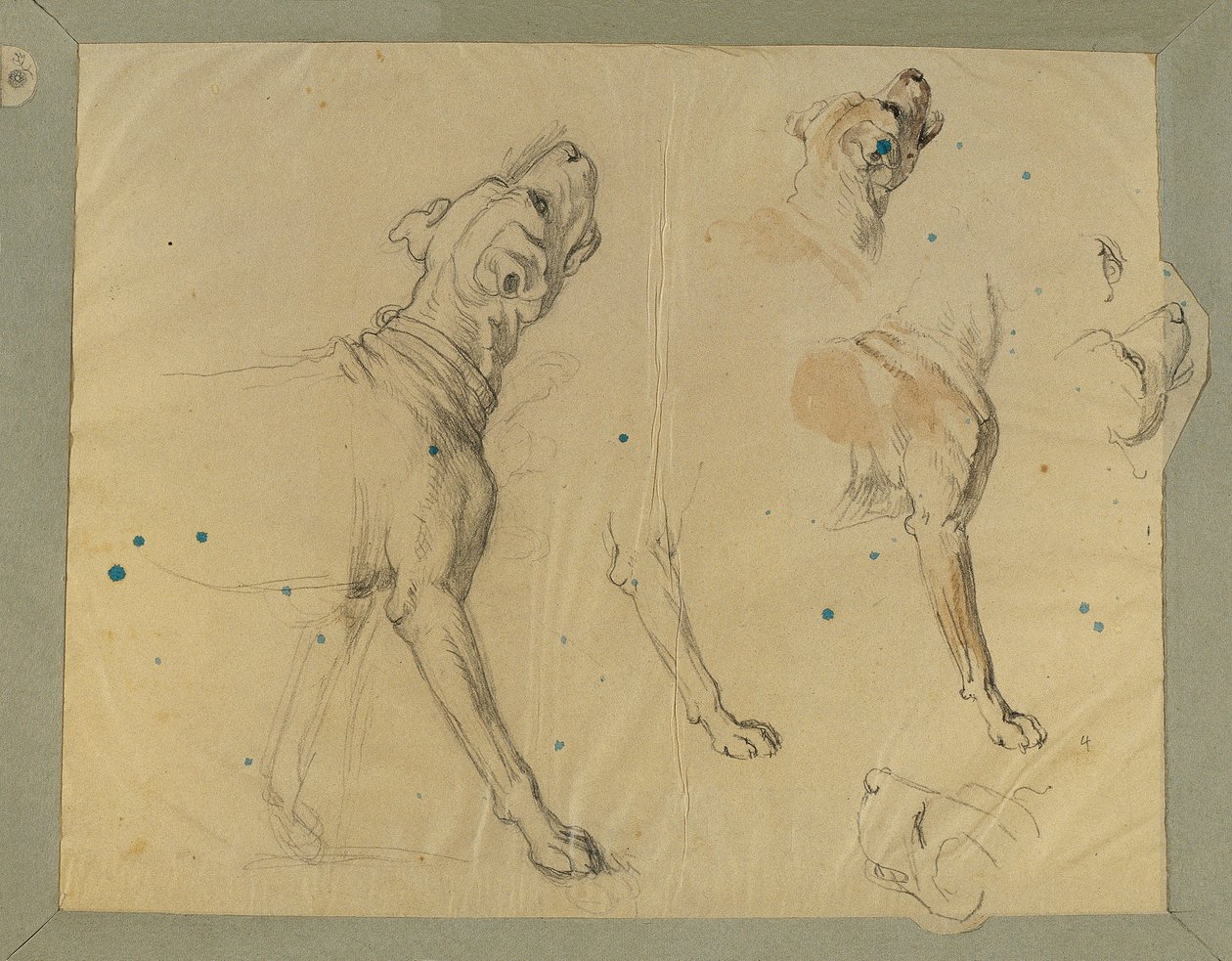 "Landwehr Adamının Eve Dönüşü" için Köpek Çalışması (1820) by Johann Peter Krafft