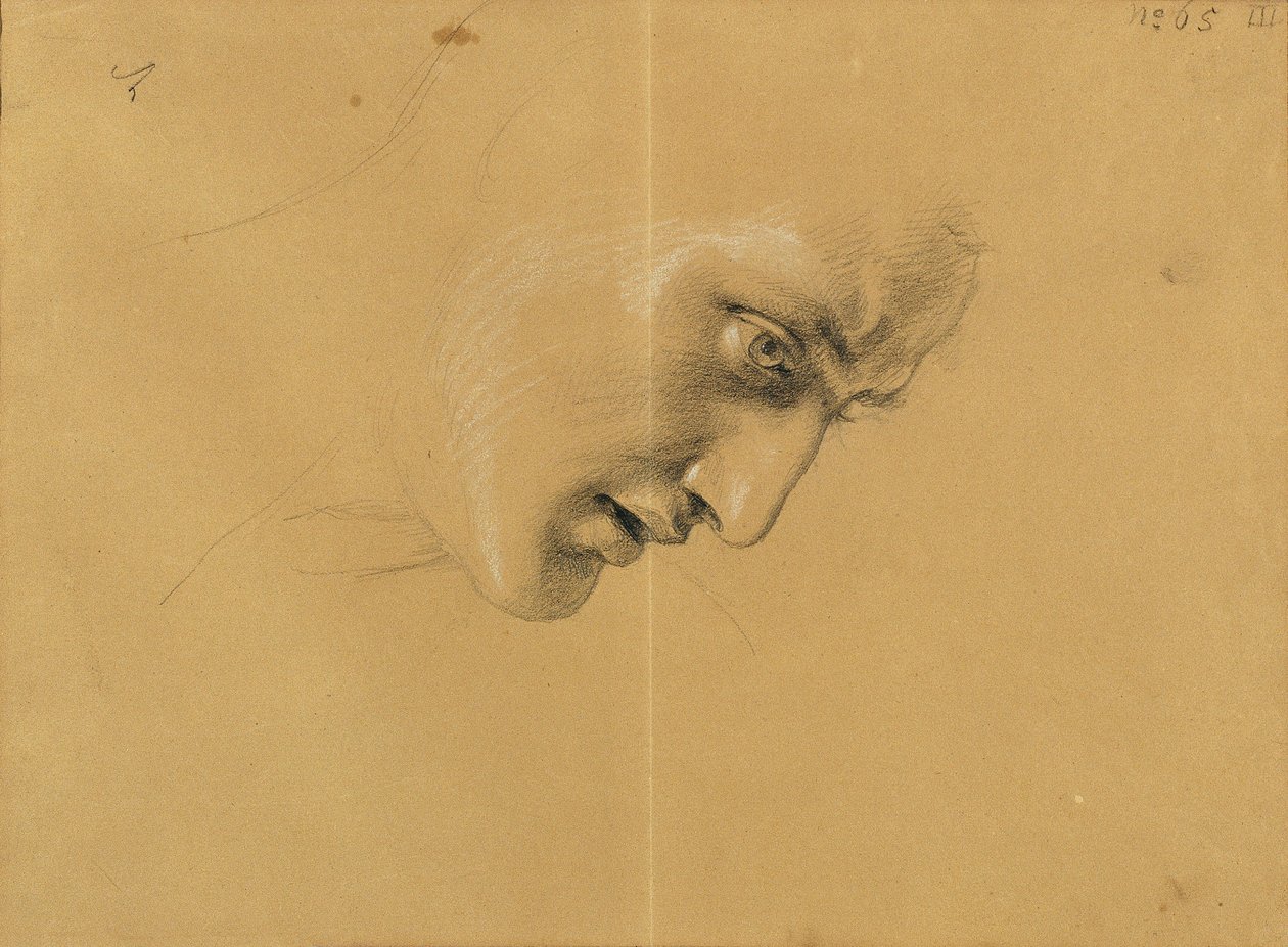 kafa çalışması by Johann Peter Krafft