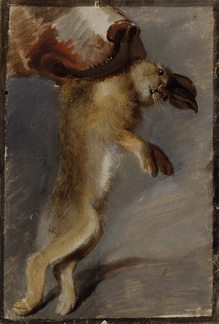 Tavşan Çalışması by Johann Peter Krafft