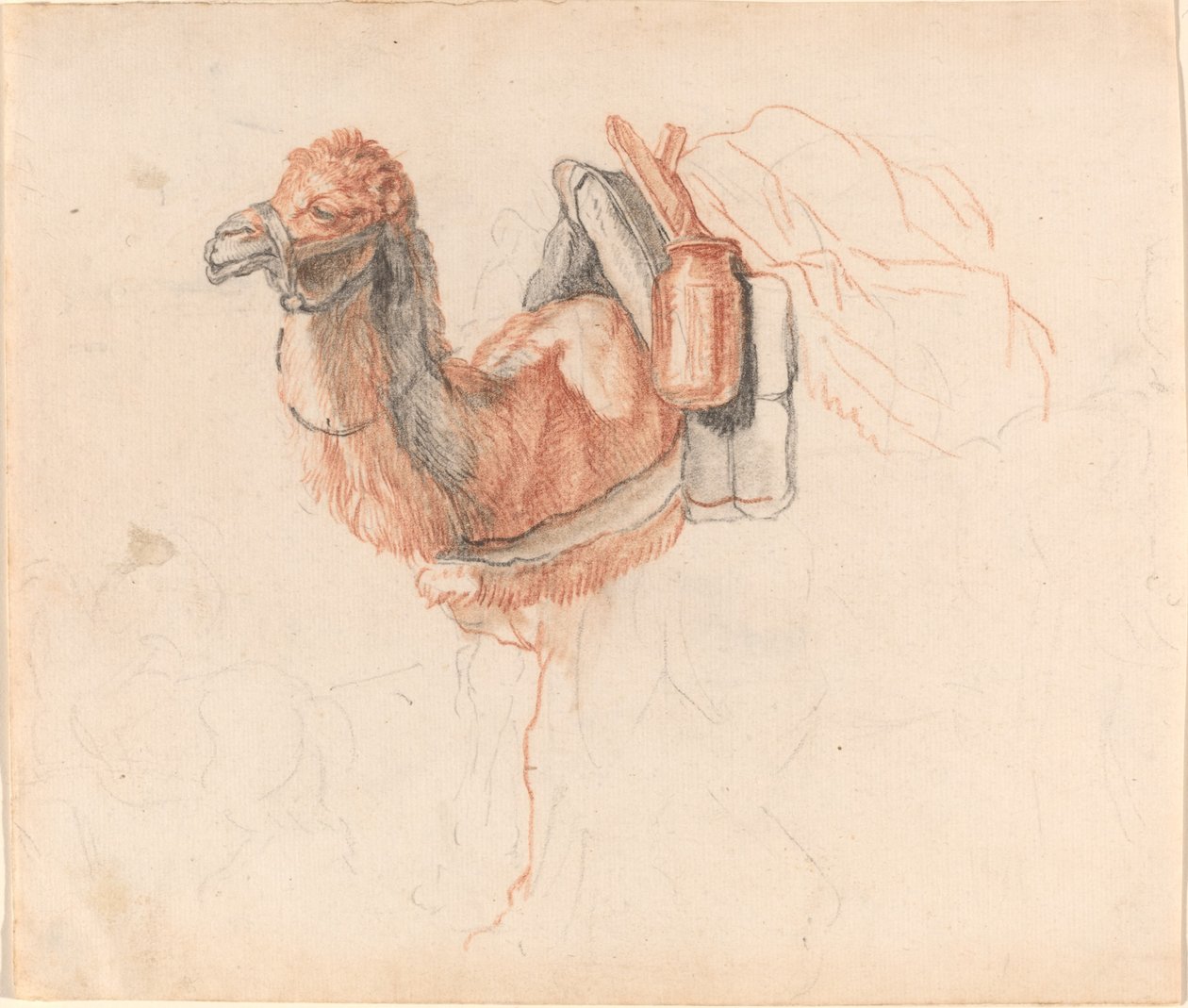 Deve by Johann Rudolph Schellenberg