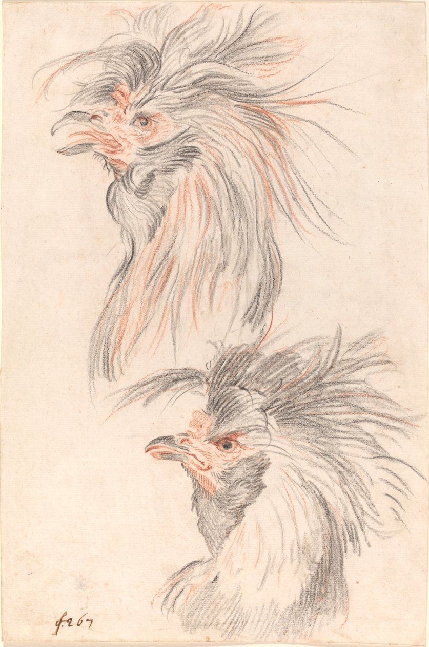 Horoz dövüşü by Johann Rudolph Schellenberg