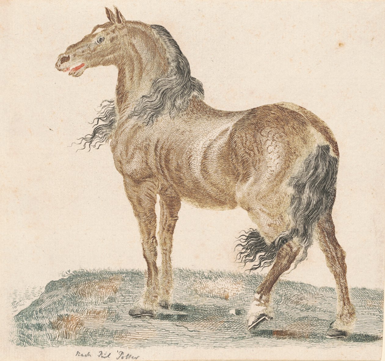 Komşu At, 1690
