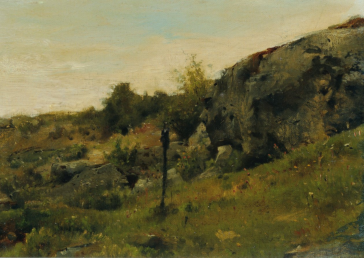 Kayalar ile çayır manzara by Johann  Till der Jüngere