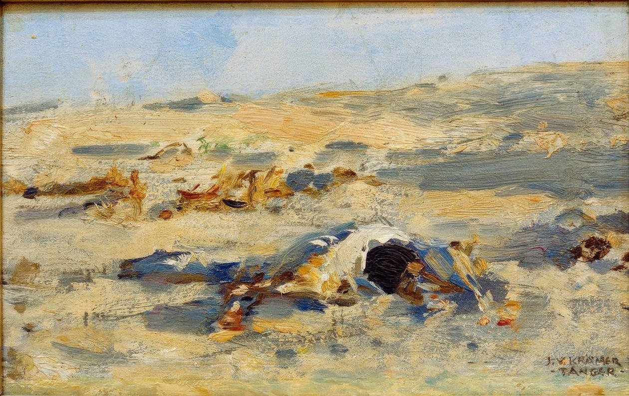 Tangier yakınlarındaki çöl by Johann Victor Krämer