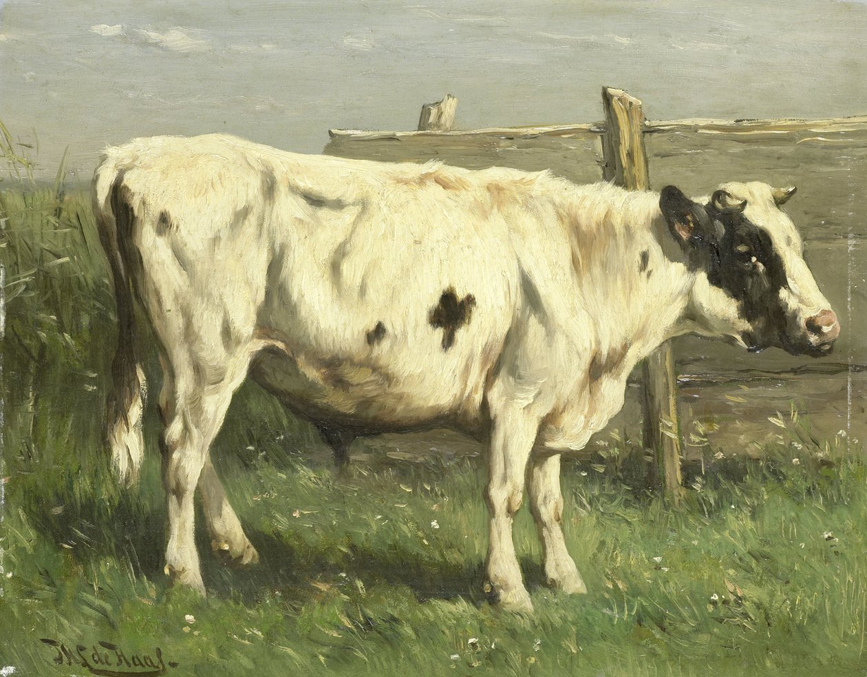genç boğa by Johannes Hubertus Leonardus de Haas