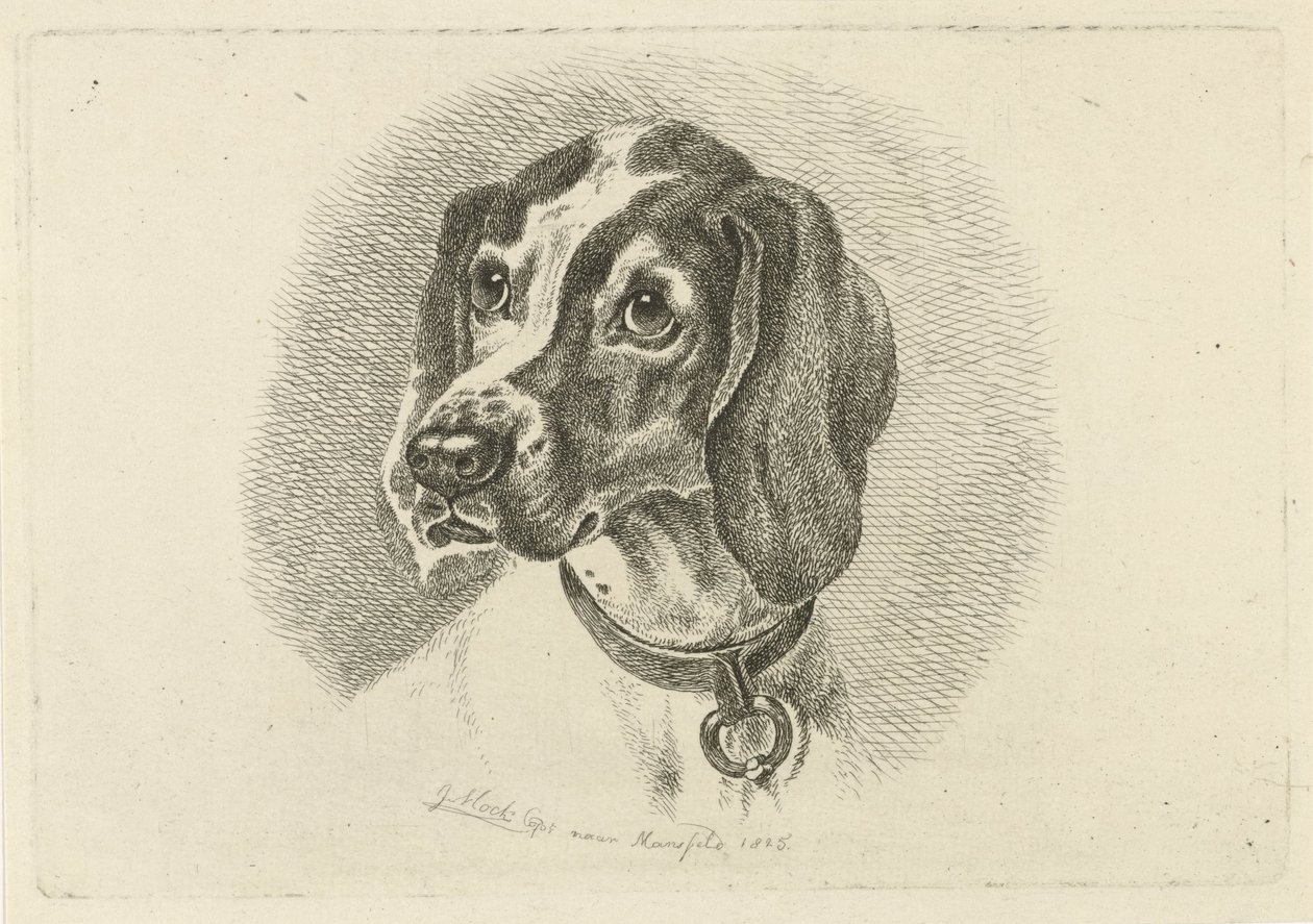Halkalı bir tasma ile köpek kafası by Johannes Mock