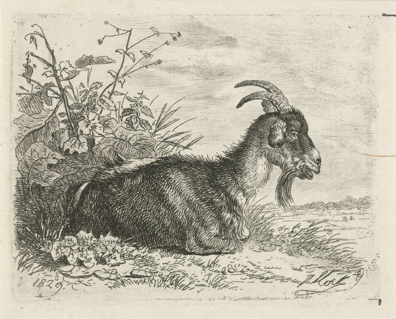 yalan kitabı by Johannes Mock