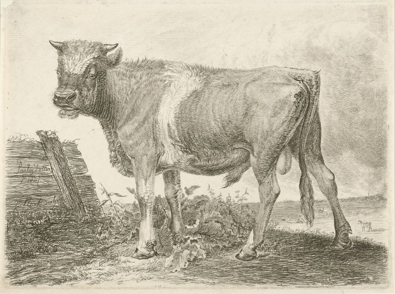 Boğa burcu by Johannes Mock