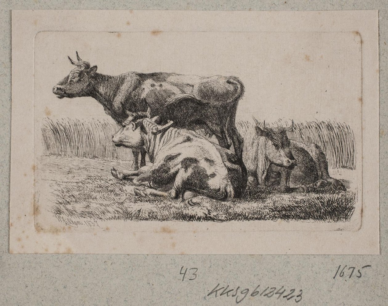 üç inek by Johannes Wilhelm Zillen