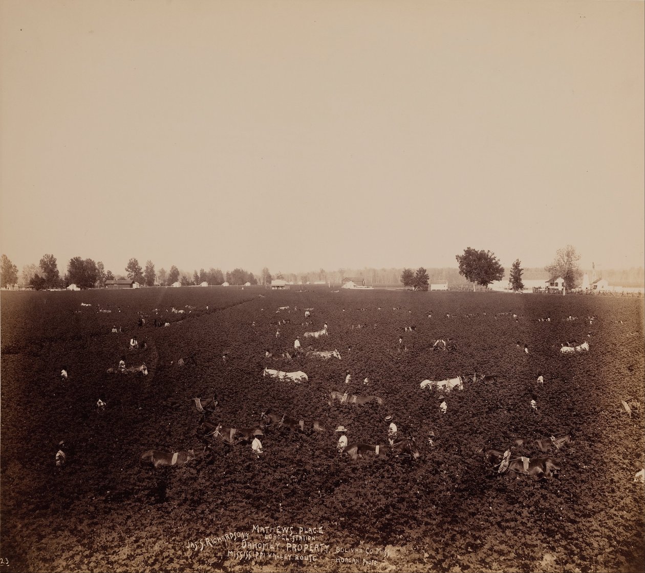 Mathews Yeri, Lobdell İstasyonu, Jass. Richardsons Mülkü, Bolivar County., Miss., Mississippi Valle... by John Horgan Jr.
