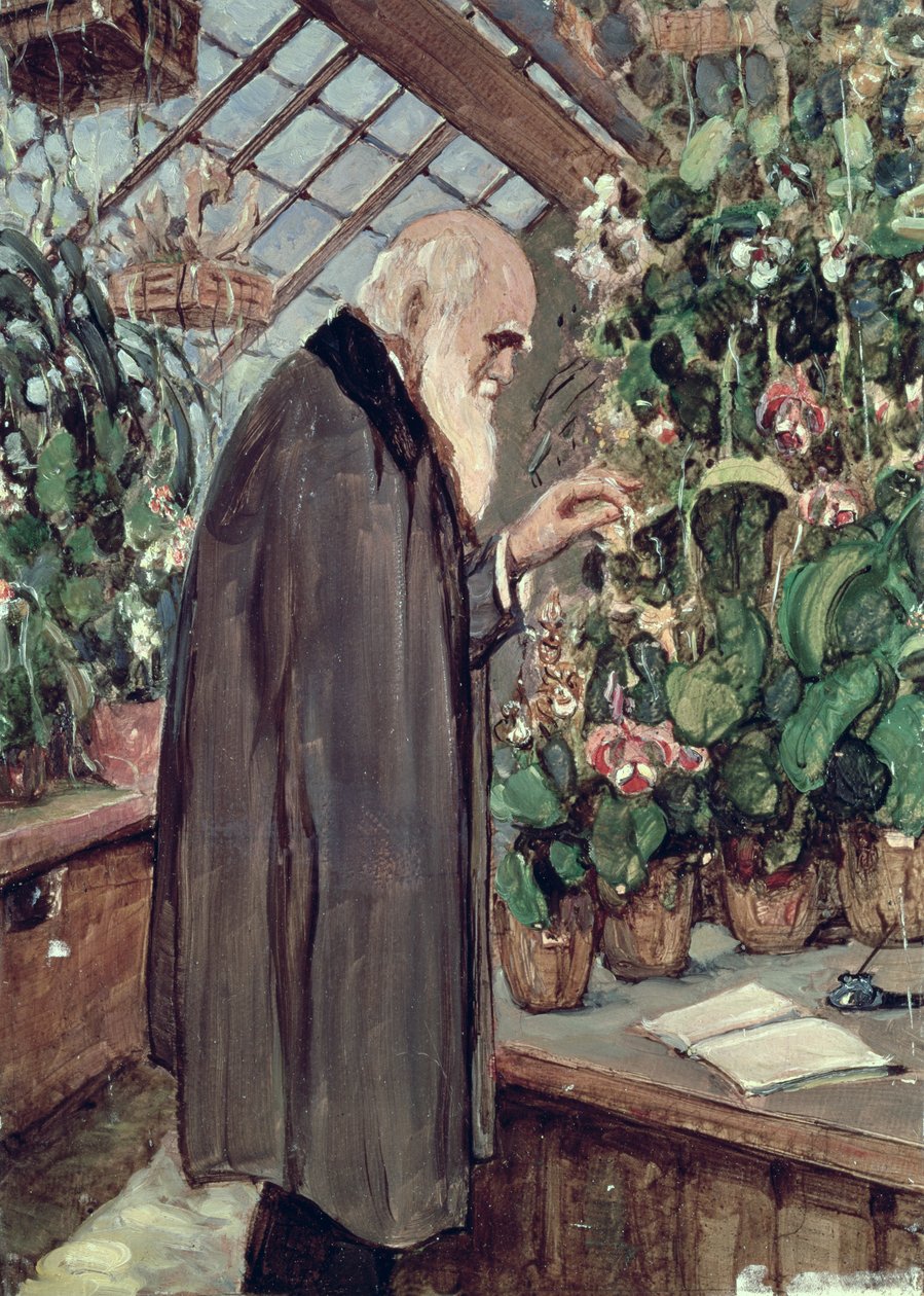 Charles Robert Darwin (1809-82) by John Collier