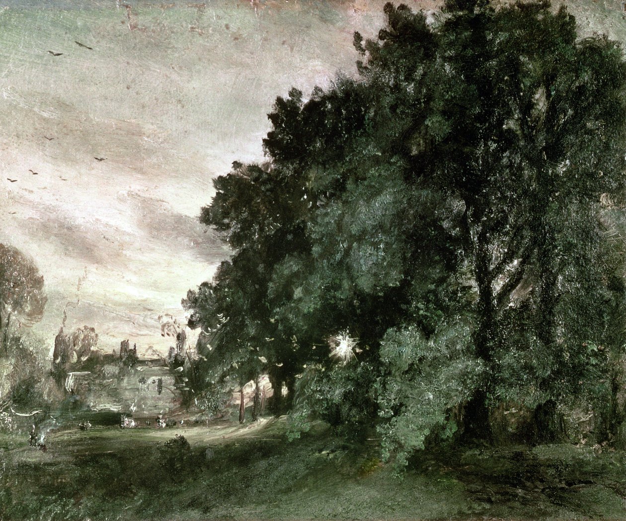 Ağaçların İncelenmesi (kağıt üzerinde yağlı boya) by John Constable