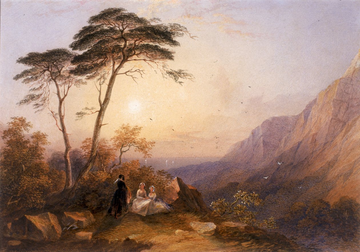Manzara (gövde rengi) by John Edmund Buckley