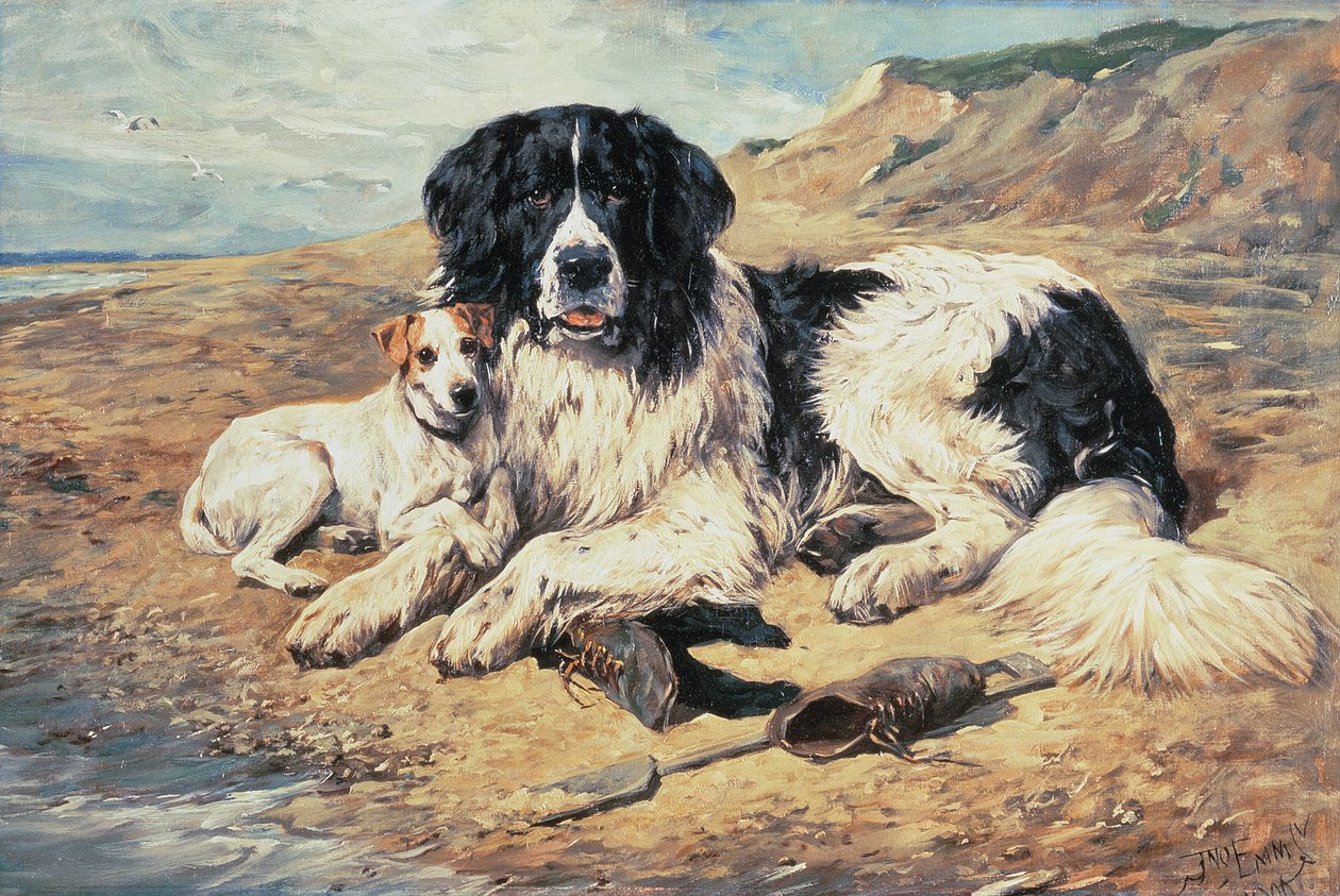 Yıkananları İzleyen Köpekler, 1900 by John Emms