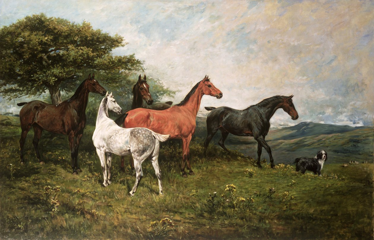 Bir Çoban Köpeği ile Kısraklar ve Tay by John Emms